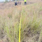 environmental consultants in South Africa